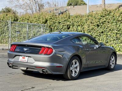 2023 Ford Mustang EcoBoost   - Photo 5 - San Jose, CA 95126