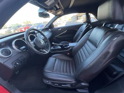 2007 Ford Shelby GT500   - Photo 5 - Phoenix, AZ 85009