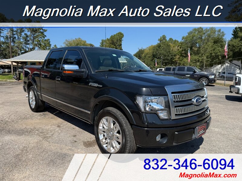 2010 Ford F-150 Platinum - Photo 4 - Magnolia, TX 77355