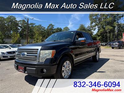 2010 Ford F-150 Platinum Truck