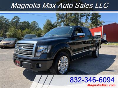 2010 Ford F-150 Platinum Truck