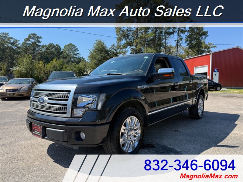 2010 Ford F-150 Platinum   - Photo 1 - Magnolia, TX 77355
