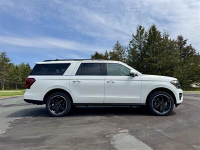 2022 Ford Expedition MAX Limited   - Photo 6 - Andover, MN 55304
