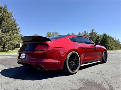 2015 Ford Mustang GT   - Photo 6 - Andover, MN 55304
