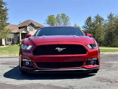 2015 Ford Mustang GT   - Photo 9 - Andover, MN 55304