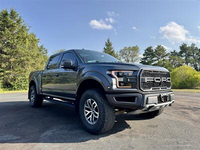 2018 Ford F-150 Raptor   - Photo 10 - Andover, MN 55304