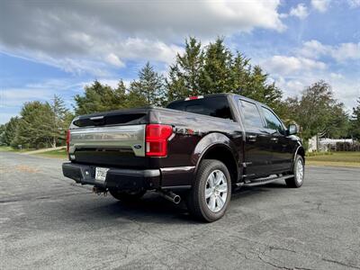 2018 Ford F-150 Platinum   - Photo 8 - Andover, MN 55304