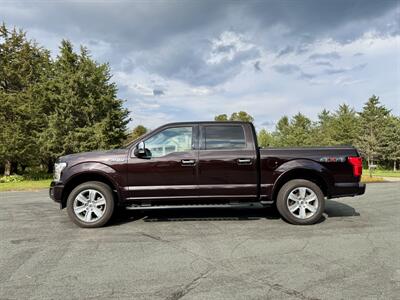 2018 Ford F-150 Platinum   - Photo 2 - Andover, MN 55304