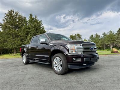 2018 Ford F-150 Platinum   - Photo 9 - Andover, MN 55304