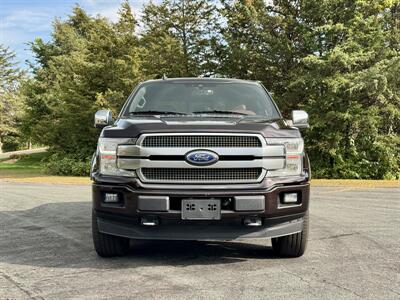 2018 Ford F-150 Platinum   - Photo 10 - Andover, MN 55304