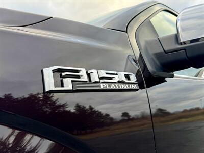 2018 Ford F-150 Platinum   - Photo 10 - Andover, MN 55304