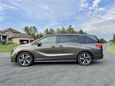 2019 Honda Odyssey Elite   - Photo 2 - Andover, MN 55304