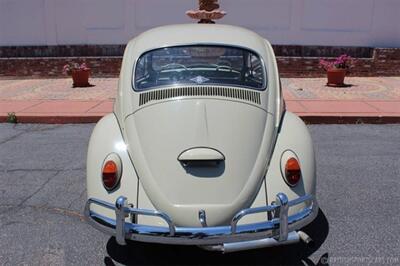 1966 Volkswagen Beetle   - Photo 7 - San Luis Obispo, CA 93401