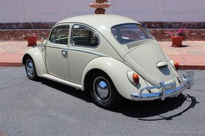 1966 Volkswagen Beetle   - Photo 6 - San Luis Obispo, CA 93401