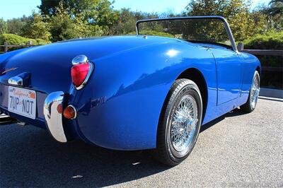 1959 Austin Healey Sprite Bugeye   - Photo 8 - San Luis Obispo, CA 93401