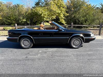 1990 Maserati TC Convertible   - Photo 6 - San Luis Obispo, CA 93401