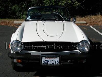 1974 Triumph TR6 Supercharged   - Photo 7 - San Luis Obispo, CA 93401