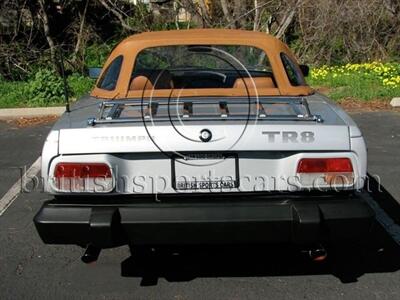 1981 Triumph TR8   - Photo 10 - San Luis Obispo, CA 93401