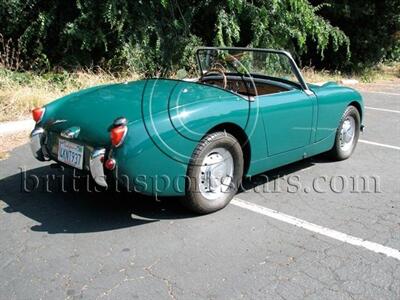 1959 Austin-Healey Bugeye   - Photo 4 - San Luis Obispo, CA 93401