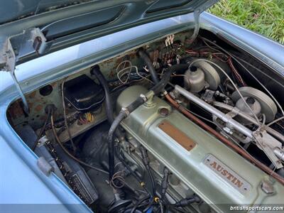 1961 Austin Healey 3000   - Photo 40 - San Luis Obispo, CA 93401