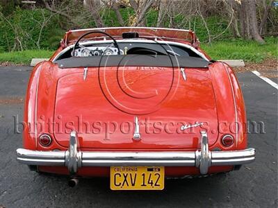 1956 Austin-Healey 100 /4 M Le Mans   - Photo 9 - San Luis Obispo, CA 93401