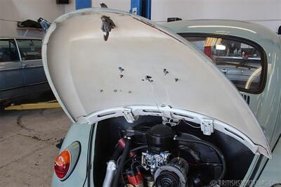 1966 Volkswagen Beetle   - Photo 27 - San Luis Obispo, CA 93401