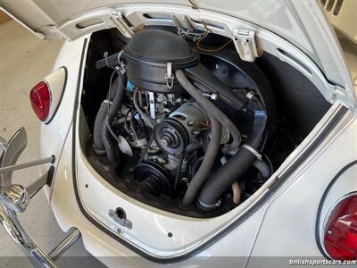 1967 Volkswagen Beetle-Classic   - Photo 64 - San Luis Obispo, CA 93401