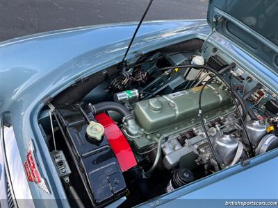 1967 Austin Healey 3000   - Photo 68 - San Luis Obispo, CA 93401