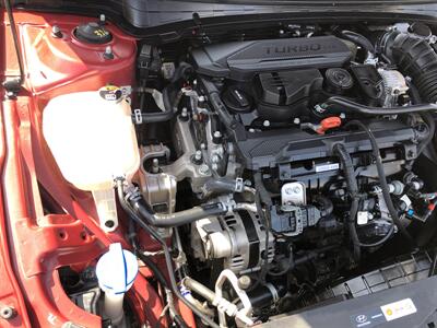 2024 Hyundai ELANTRA N Line   - Photo 6 - Dallas, TX 75247