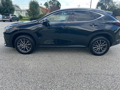 2023 Lexus NX 350h Premium - Photo 7 - Rancho Cucamonga, CA 91730