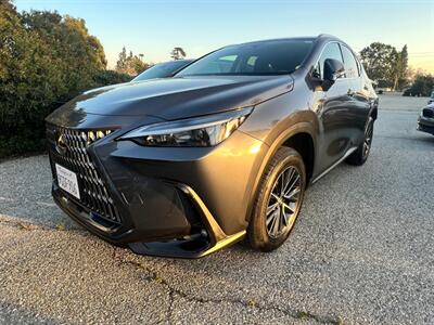 2024 Lexus NX 350h Wagon