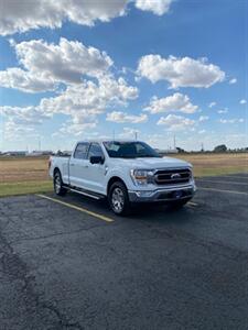2023 Ford F-150 XL   - Photo 2 - Perryton, TX 79070