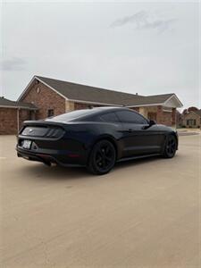 2020 Ford Mustang EcoBoost - Photo 4 - Perryton, TX 79070
