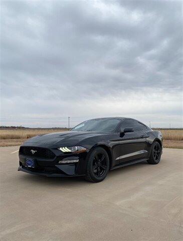 2020 Ford Mustang EcoBoost's photo