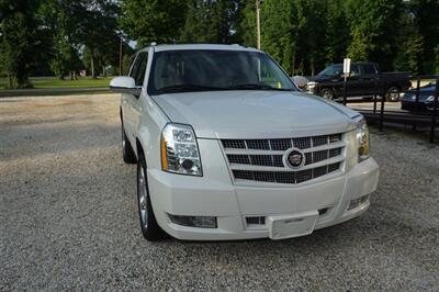 2014 Cadillac Escalade Premium   - Photo 10 - Bogalusa, LA 70427