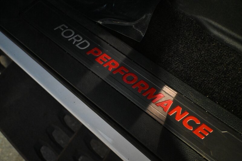 2017 Ford F-150 Raptor photo 21