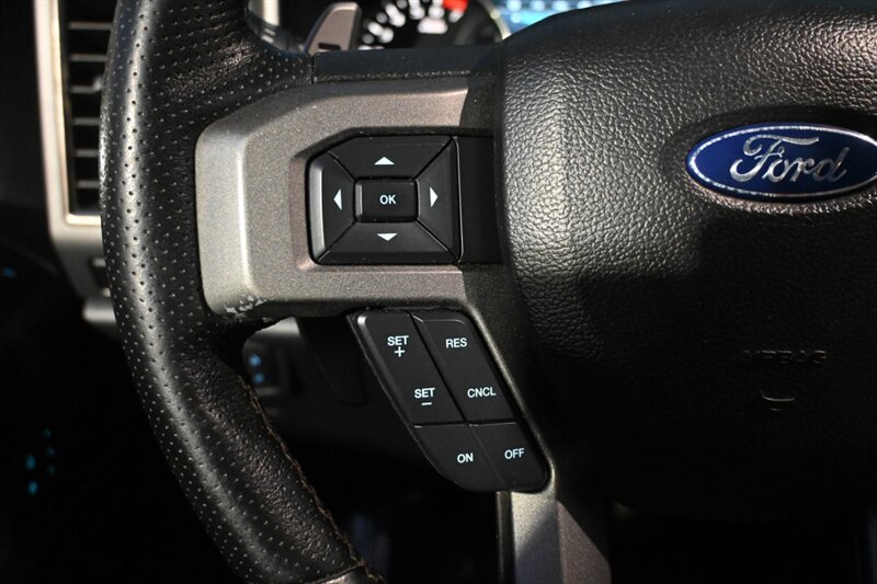 2017 Ford F-150 Raptor photo 29