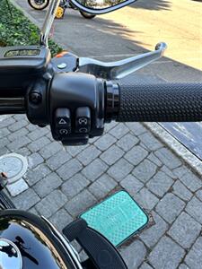 2021 HARLEY-DAVIDSON FLSL Softail Slim   - Photo 14 - San Ramon, CA 94583