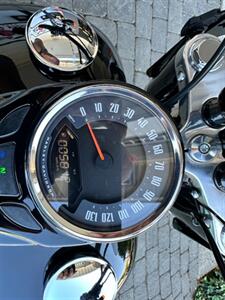 2021 HARLEY-DAVIDSON FLSL Softail Slim   - Photo 15 - San Ramon, CA 94583