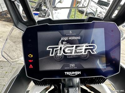 2023 Triumph Tiger 900 Rally Pro   - Photo 17 - San Ramon, CA 94583