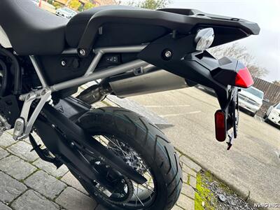 2023 Triumph Tiger 900 Rally Pro   - Photo 7 - San Ramon, CA 94583