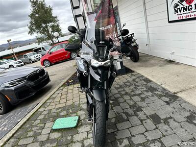 2023 TRIUMPH TIGER 900 GT PRO   - Photo 3 - San Ramon, CA 94583