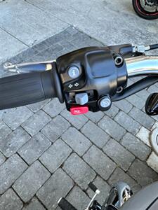 2025 Triumph Bonneville Speedmaster 2 TONE ICON   - Photo 13 - San Ramon, CA 94583