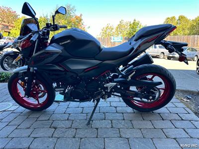 2024 Kawasaki Z500 SE ABS - Photo 5 - San Ramon, CA 94583