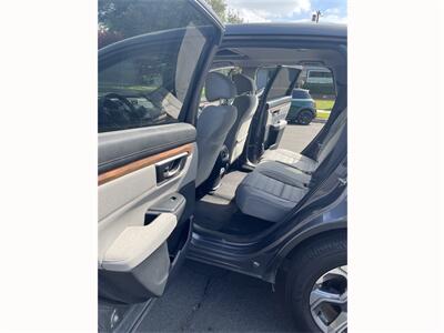 2019 Honda CR-V EX   - Photo 9 - Northridge, CA 91324