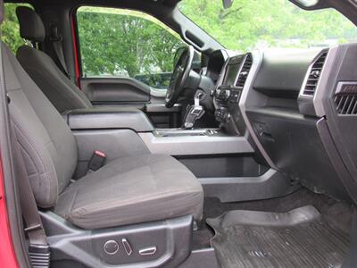 2015 Ford F-150 XLT   - Photo 8 - Appleton, WI 54915