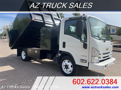 2019 Chevrolet W4500 / NPR, 11' Dump Truck Regular Cab   - Photo 1 - Scottsdale, AZ 85257