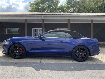 2015 Ford Mustang V6 - Photo 9 - Bowling Green, KY 42101