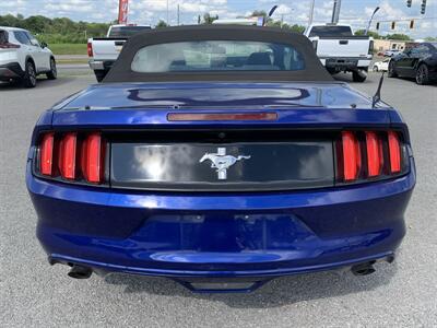 2015 Ford Mustang V6 - Photo 5 - Bowling Green, KY 42101