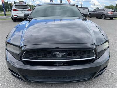 2014 Ford Mustang V6 - Photo 4 - Bowling Green, KY 42101